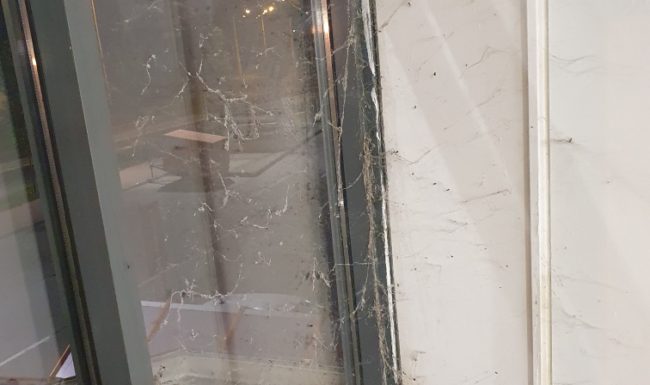 Odstránenie pavučín z okien